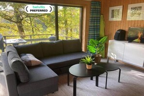 TV connectée, cheminée, lecteur de DVD