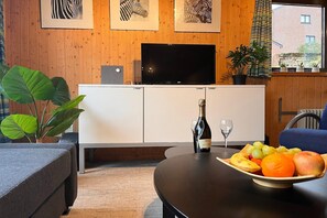 TV connectée, cheminée, lecteur de DVD