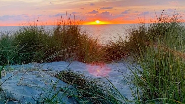 A beach scene with a sunset over the water, foreground grasses, and a clear sky. - Nice holiday residence in De Koog near the beach (De Koog)