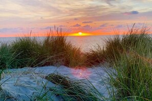 Une scène de plage avec un coucher de soleil sur l’eau, des herbes au premier plan et un ciel dégagé.