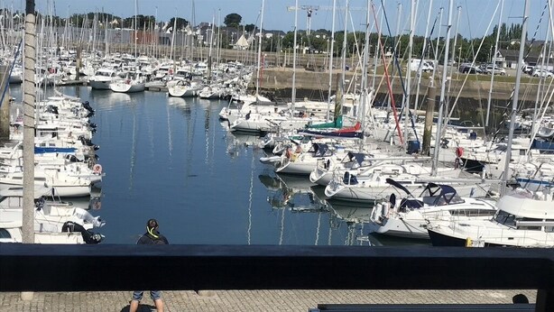Un port de plaisance où sont amarrés divers bateaux, dans des eaux calmes.