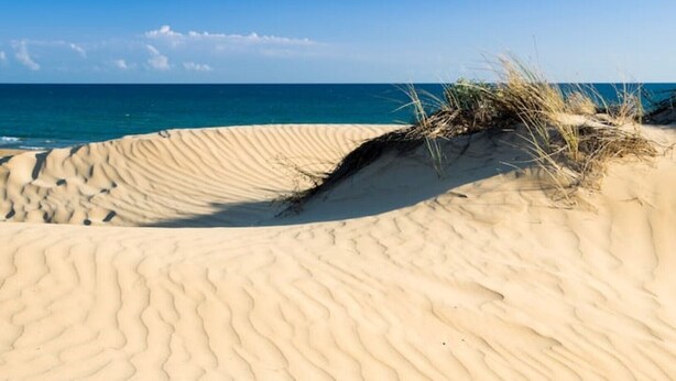 A sandy beach with dunes and sparse vegetation. - The White House, terrace on the Mediterranean (Pozzallo)