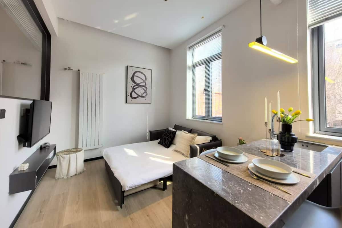 Una habitación moderna con cama, sofá, televisor, radiador, ventana con persianas y una zona de cocina con mostrador y planta.