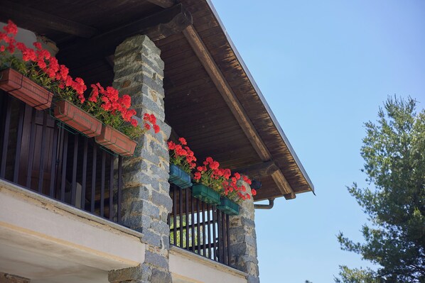 Exterior detail