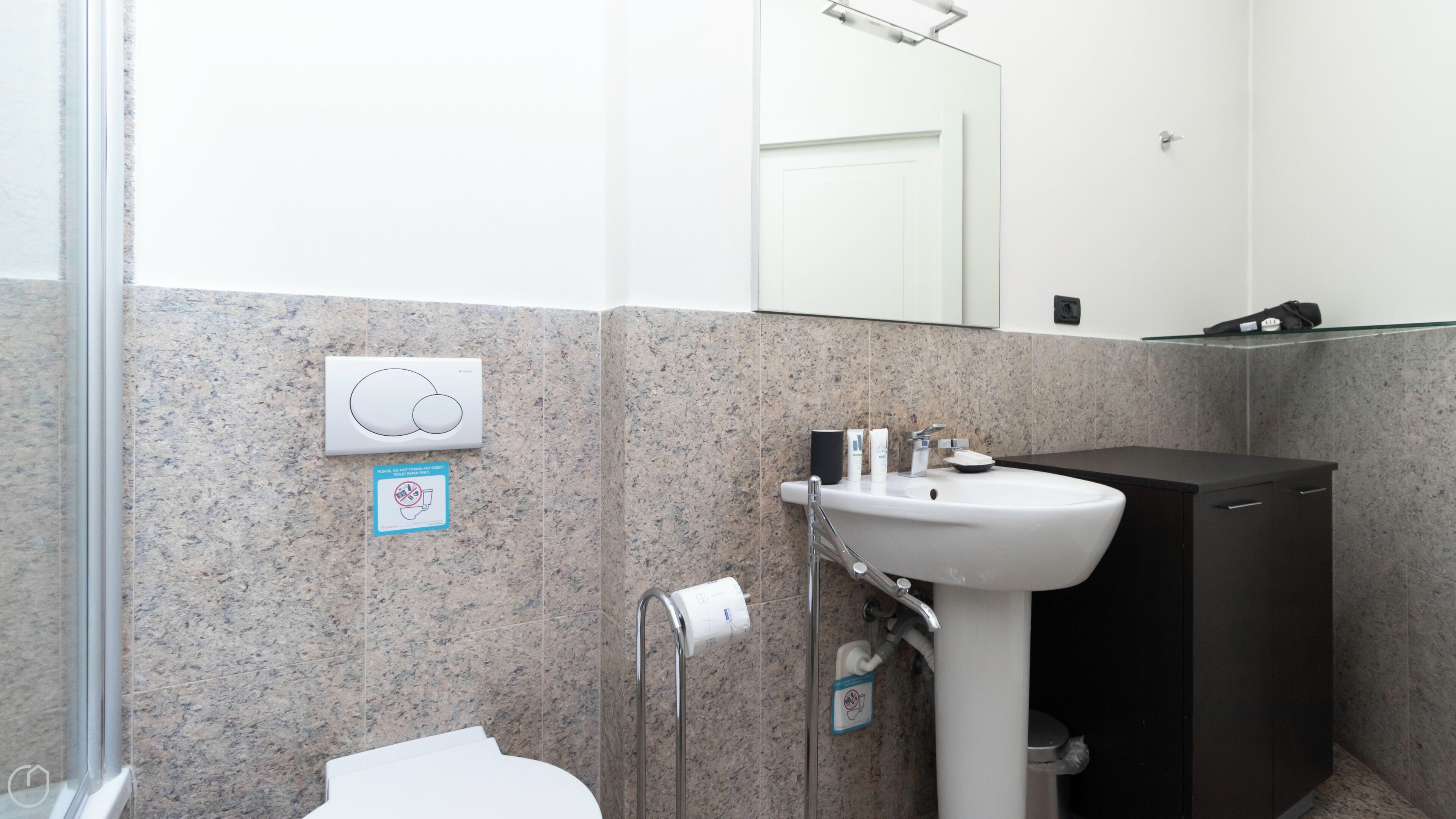 A bathroom with a white sink, a toilet, and a mirror.
