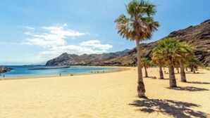 Une plage avec une eau d’un bleu limpide, un rivage sablonneux et des palmiers.