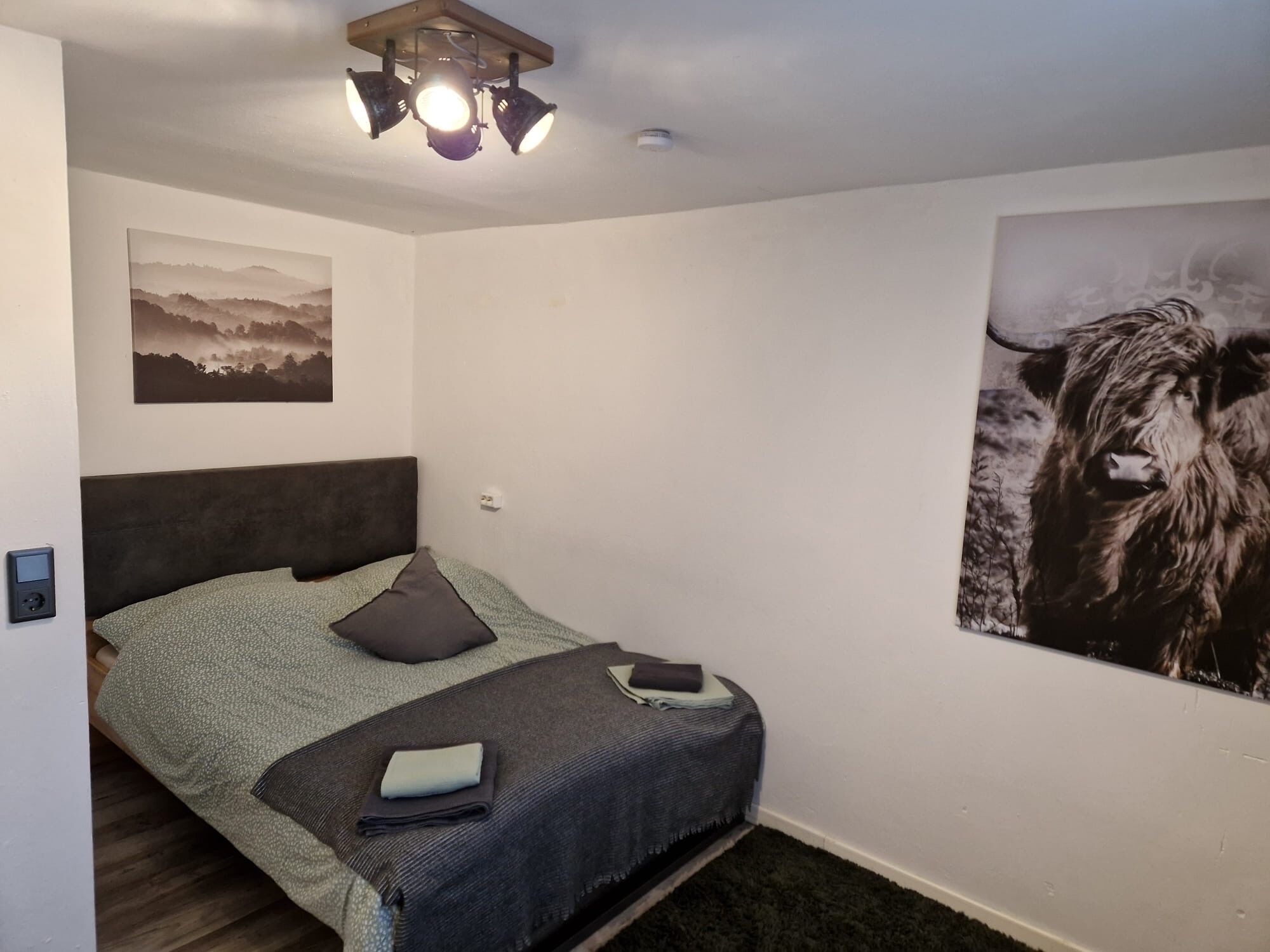 Una camera da letto con un letto, una testiera, un lampadario a parete, una presa di corrente e un grande quadro con un motivo animalier.