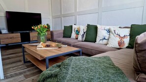 Fernseher