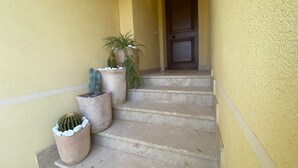 Una serie di gradini in pietra che conducono a una porta, con vasi di cactus e una pianta sui gradini.
