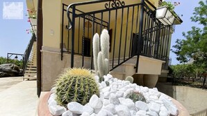 Un vaso in terracotta pieno di vari cactus e pietre, posizionato di fronte a un edificio con un balcone e delle scale.