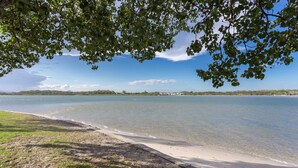 Una spiaggia con acque cristalline, una riva sabbiosa e una fila di alberi.