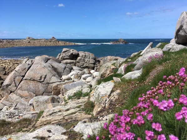 Un paisaje costero rocoso con grandes cantos rodados y flores rosadas en primer plano.