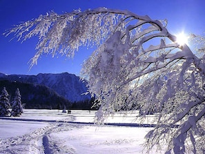 Wintersport/Ski