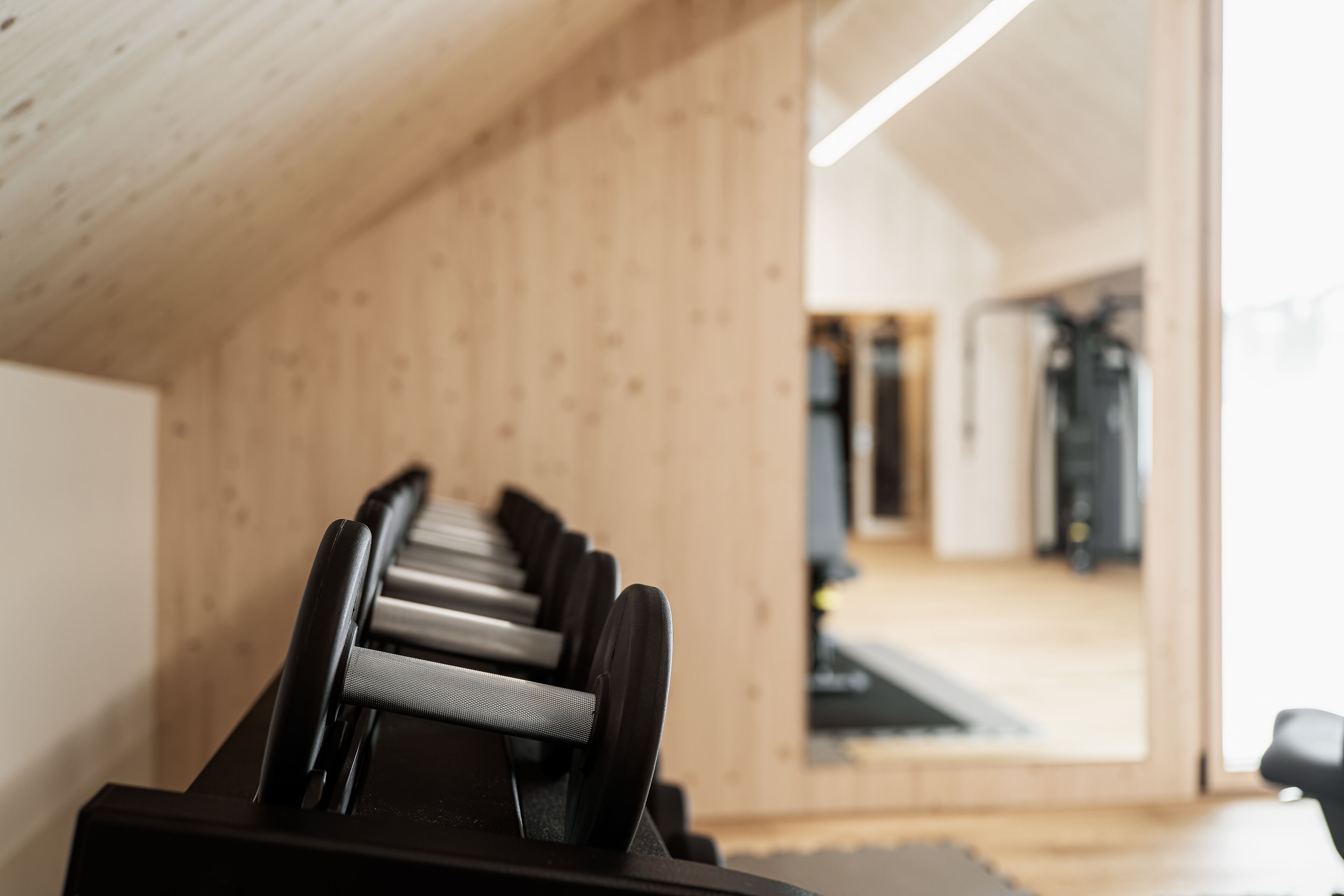 A gym with a wooden wall and a row of dumbbells.