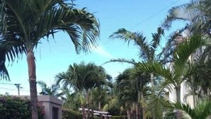 A pathway flanked by palm trees and well-maintained hedges, leading to a building with a small porch. - La Marquise Apartment with pool (Flic en Flac)