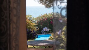 Vista a través de una ventana con cortinas decorativas, una piscina y un jardín con diversas plantas y flores.