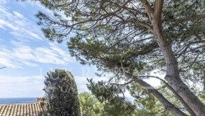 Una villa de estilo mediterráneo con un camino de piedra que lleva a una zona ajardinada y vistas al mar.