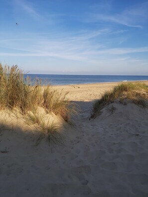 Plage à proximité