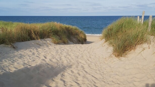 En sti af sand, der fører ned til havet, med græsklædte klitter på begge sider.