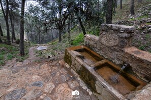 Hiking - TOTTAM EXPERIENCE (Alhaurin el Grande)