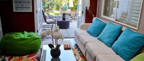 TV connectée, cheminée, lecteur de DVD, livres