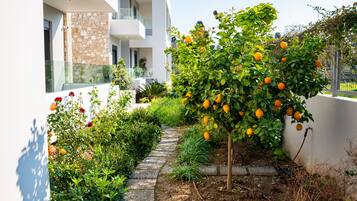 Luxury Apartment | Terrace/patio