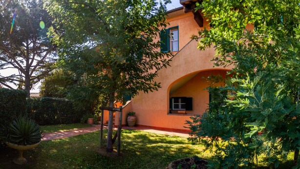 Ein Haus mit Garten, einem Weg und einem großen Baum.