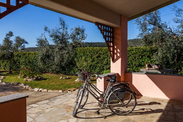 Un vélo est garé sur une terrasse en pierre, d’où l’on peut admirer un vignoble et des arbres.