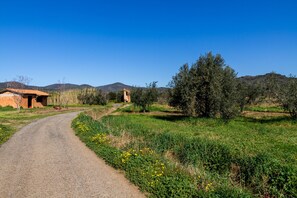 Property grounds - Holiday Home 'Casa Attila ' with Shared Garden, Wi-Fi and Air Conditioning (Castiglione della pescaia)