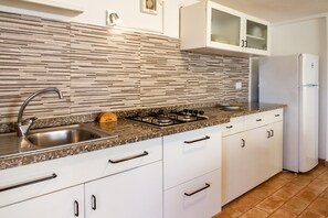 Fridge, stovetop, cookware/dishes/utensils