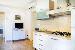 Fridge, stovetop, cookware/dishes/utensils