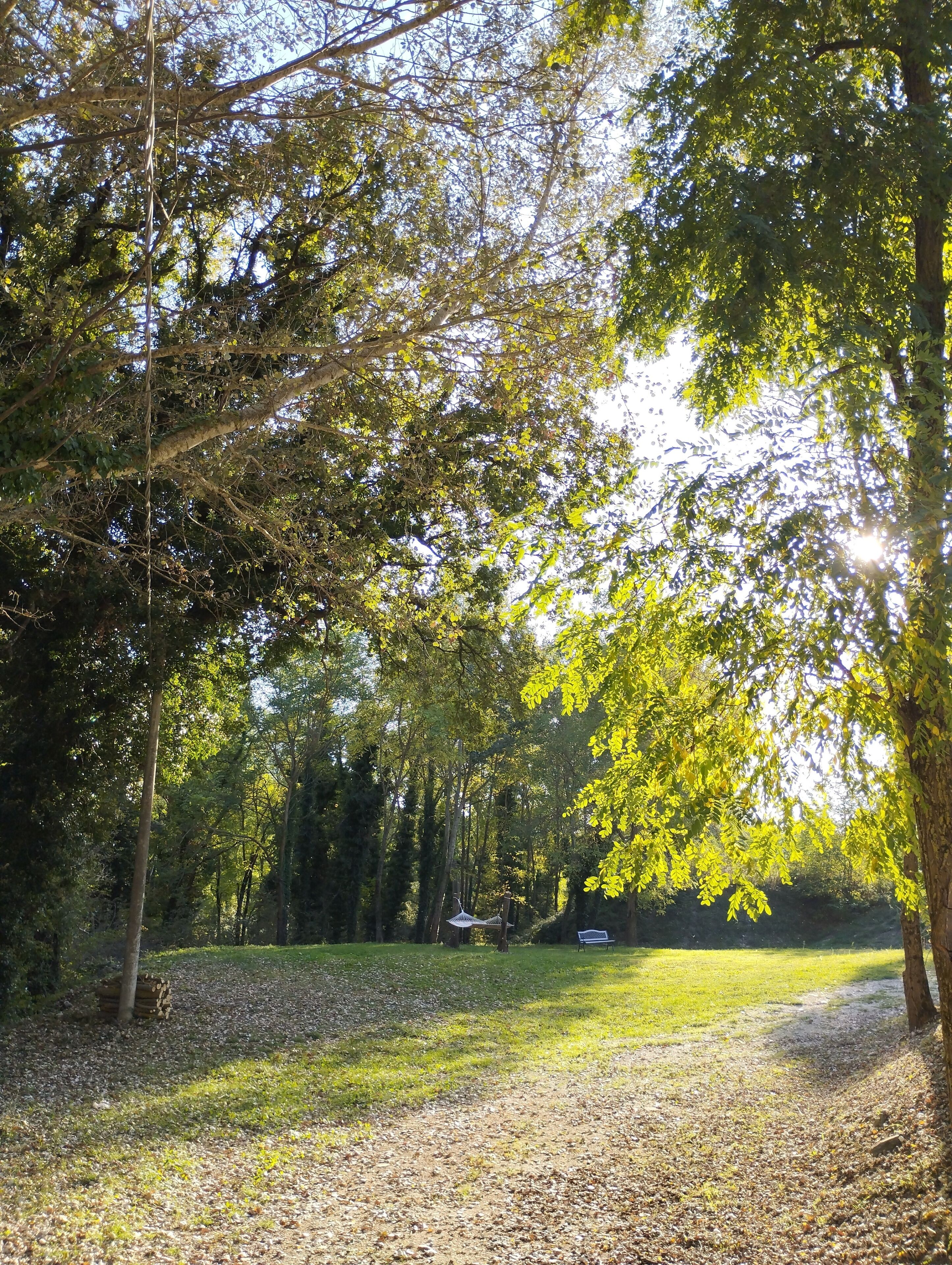 Overnattingsstedets uteområder