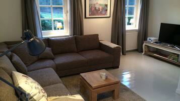 Télévision, cheminée, livres, médiathÚque