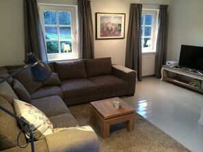 Een televisie, een open haard, boeken en een muziekbibliotheek