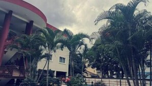 Un edificio con facciata curva, circondato da palme e un viale lastricato.