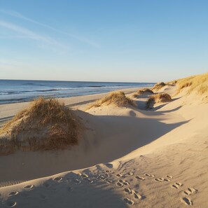Una playa arenosa con dunas y huellas.