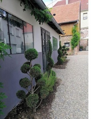 A building with a modern design, featuring a series of spherical topiary trees along a gravel path.