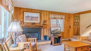 Télévision, cheminée, espaces bureaux