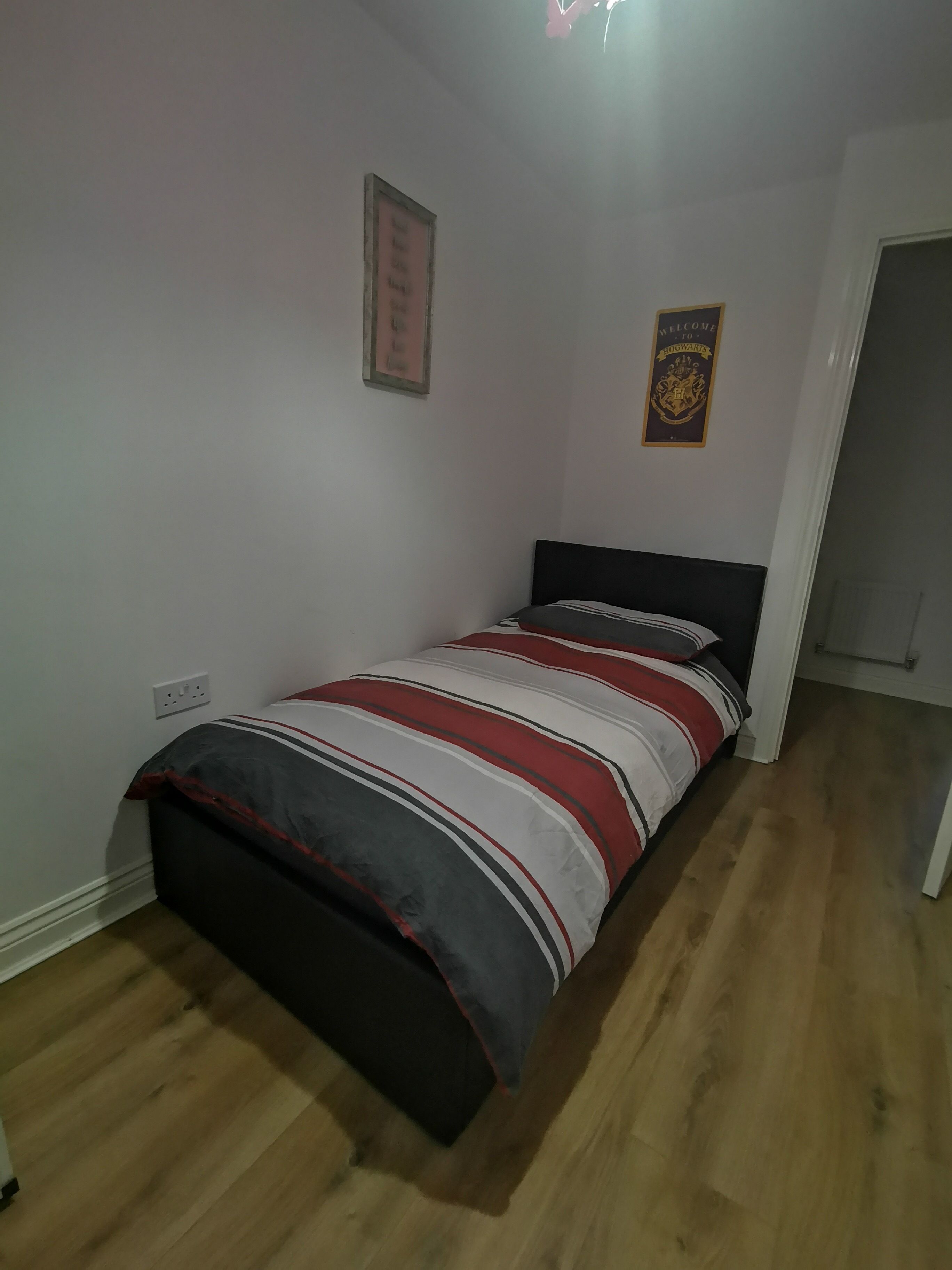 A bedroom with a bed, a wall-mounted picture frame, and a door.