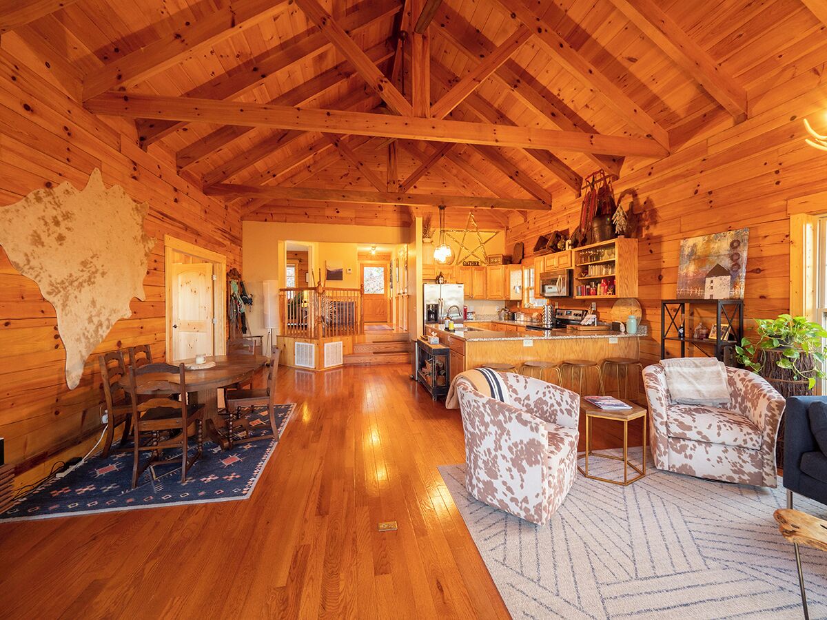 Smart-tv, pejs, bøger