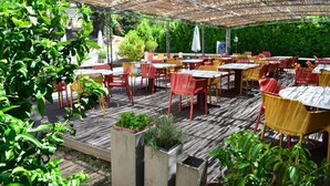 Speisen im Freien