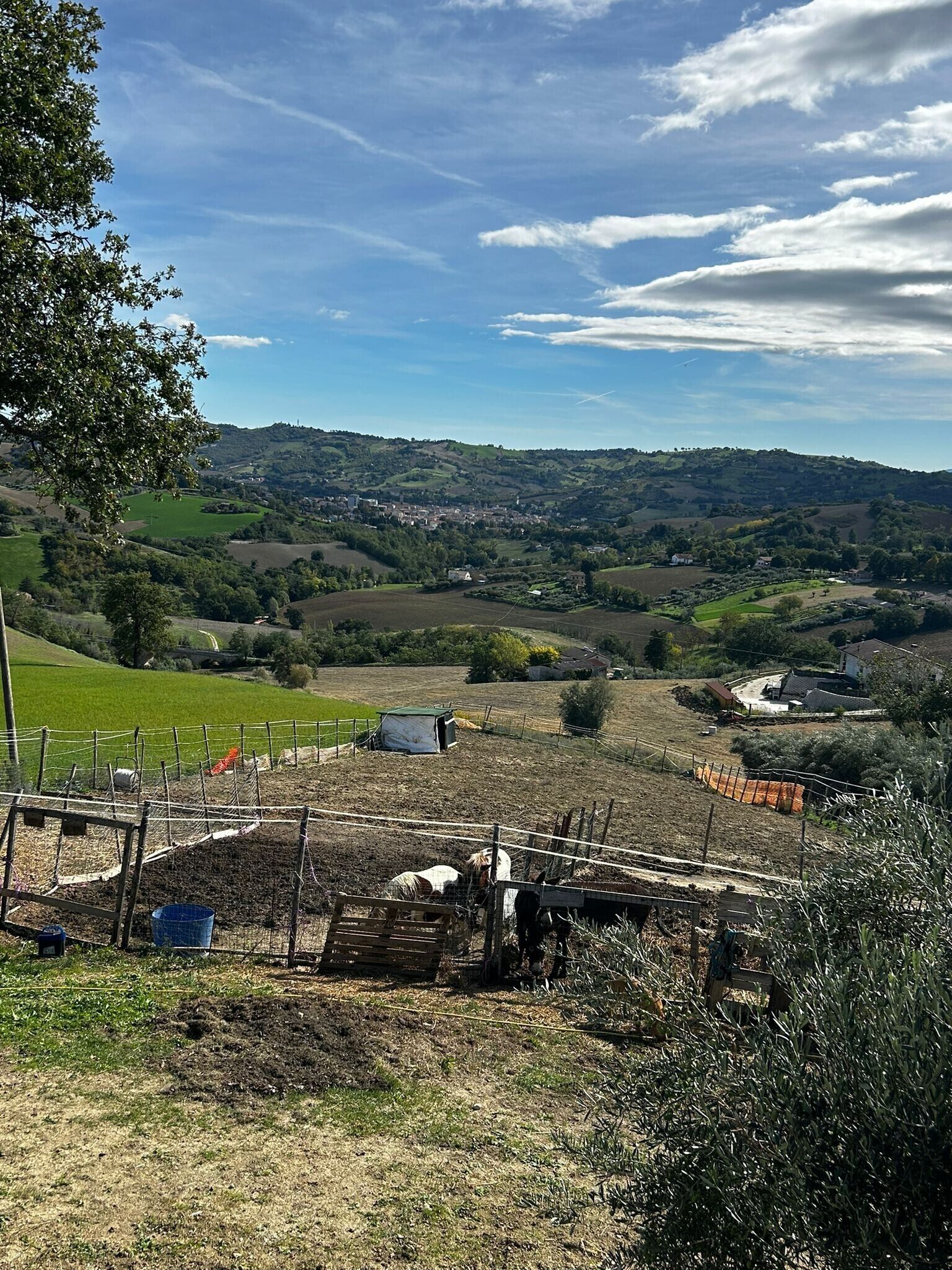 A rural landscape with a fenced area, a small building, and a distant village.
