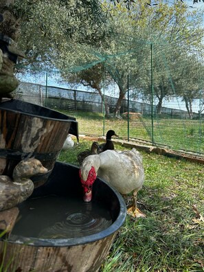 Parco della struttura