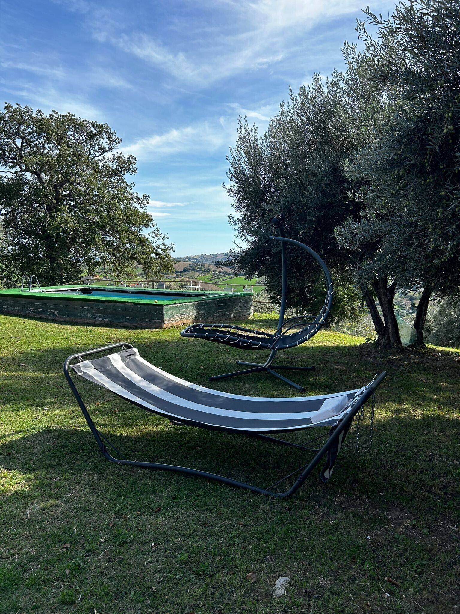 Una hamaca en un área con césped, olivos y una piscina al fondo.