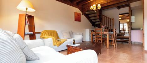 TV, fireplace, books