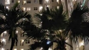 Un grattacielo con numerose finestre illuminate e palme sullo sfondo.