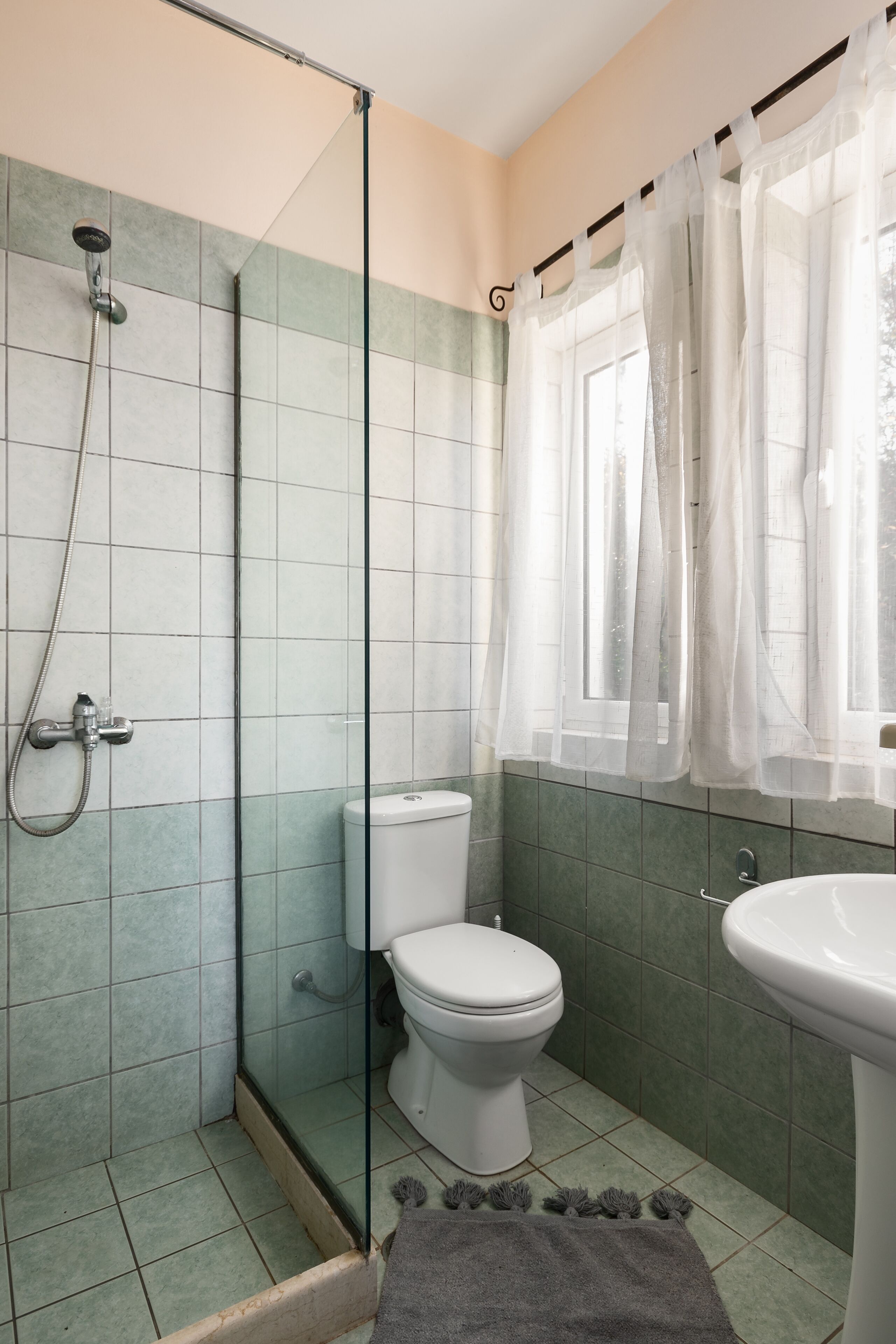 Een badkamer met een douche met glazen wand, toilet en wastafel.