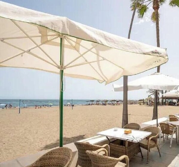 A beachfront patio with outdoor seating, palm trees, and a view of the beach.