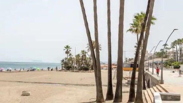 Una spiaggia con palme, una riva sabbiosa e un cielo sereno.