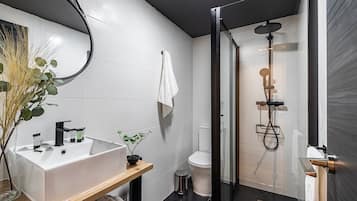 Regadera, secadora de cabello, toallas